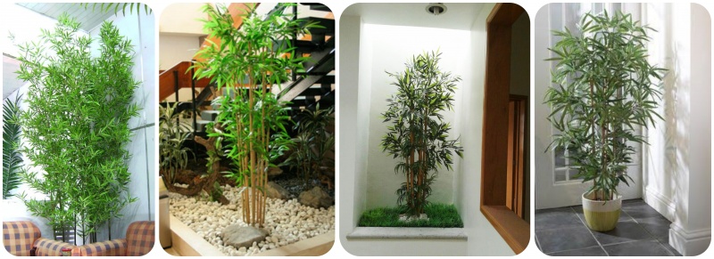 bambu para decoracion de interiores