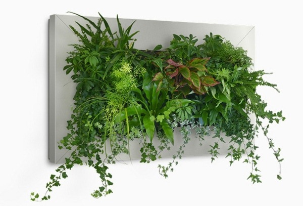 muros y cuadros verdes para pared Inova Decora plantas artificiales