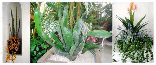 Inova Decora -orquideas, cactus, maguey artificial-