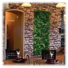 Jardines de pared, muros verdes  plantas artificiales
