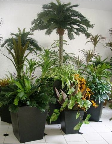 diseño de interiores con plantas