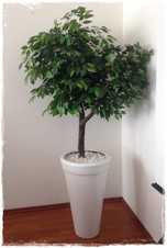 Arbol Ficus Artificial